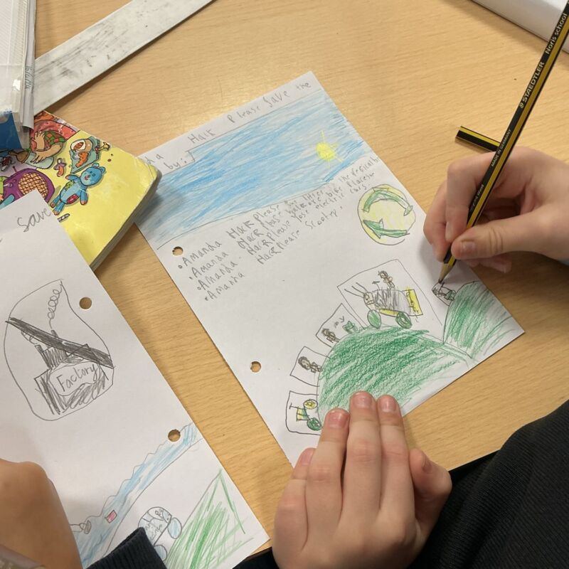 Image for the Tweet beginning: Year 3 have learnt about